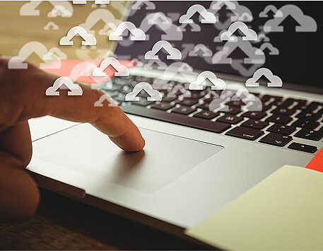 Bulk Upload & CMS Entry