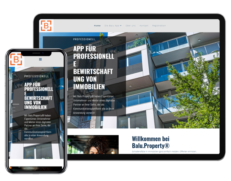 balu-property-website-tm