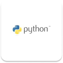 Python Development Services